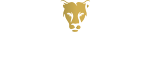 Villa Vicario Condominios